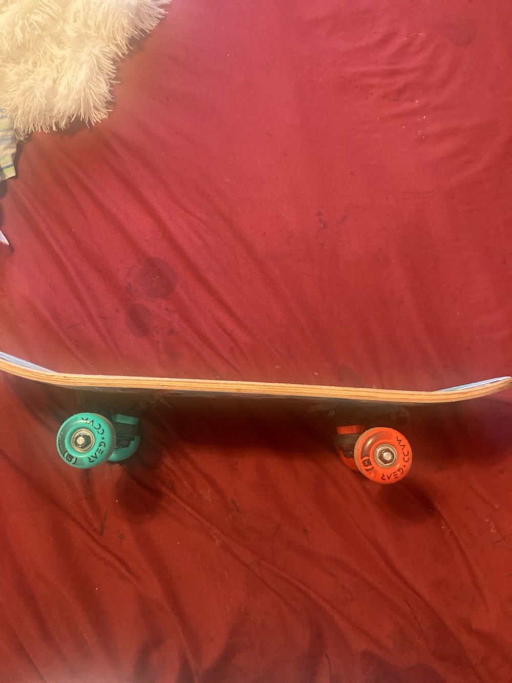 Kids Skateboard with Teal and Orange Wheels - Youth Cruiser